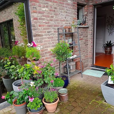 Efes Home ヘント エクステリア 写真